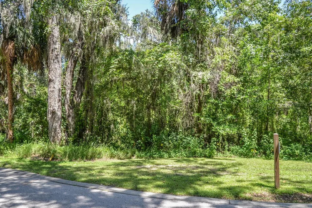 4808 RAMBLING RIVER ROAD Brandon, FL 33511