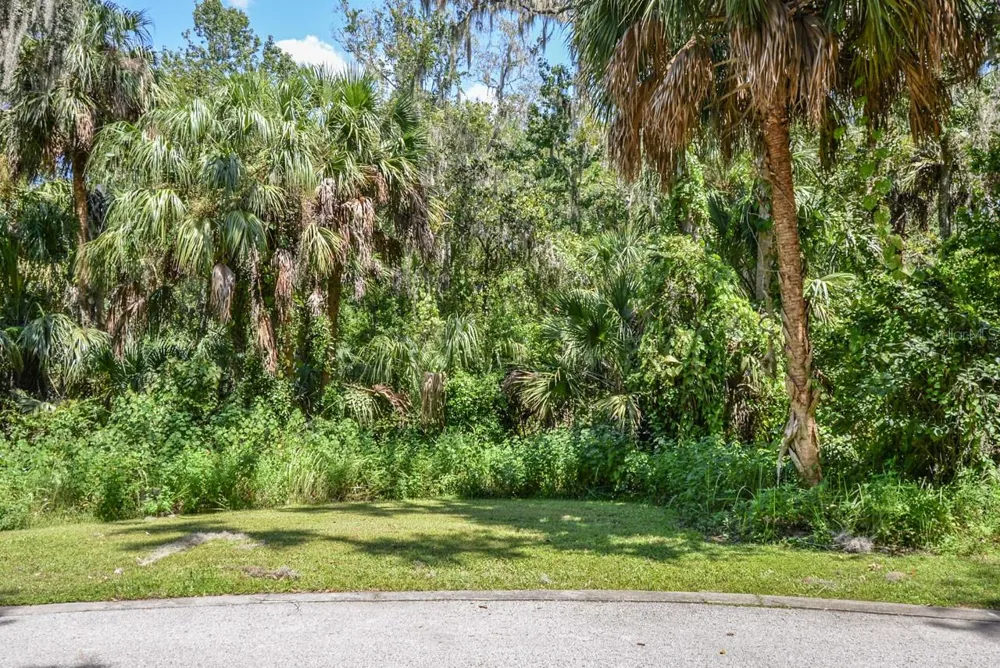 4808 RAMBLING RIVER ROAD Brandon, FL 33511
