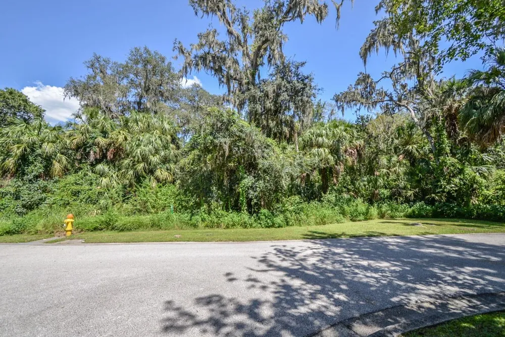 4808 RAMBLING RIVER ROAD Brandon, FL 33511