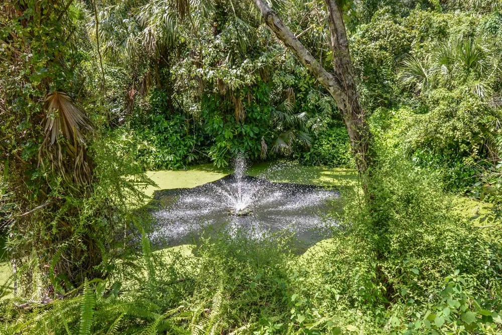 4808 RAMBLING RIVER ROAD Brandon, FL 33511
