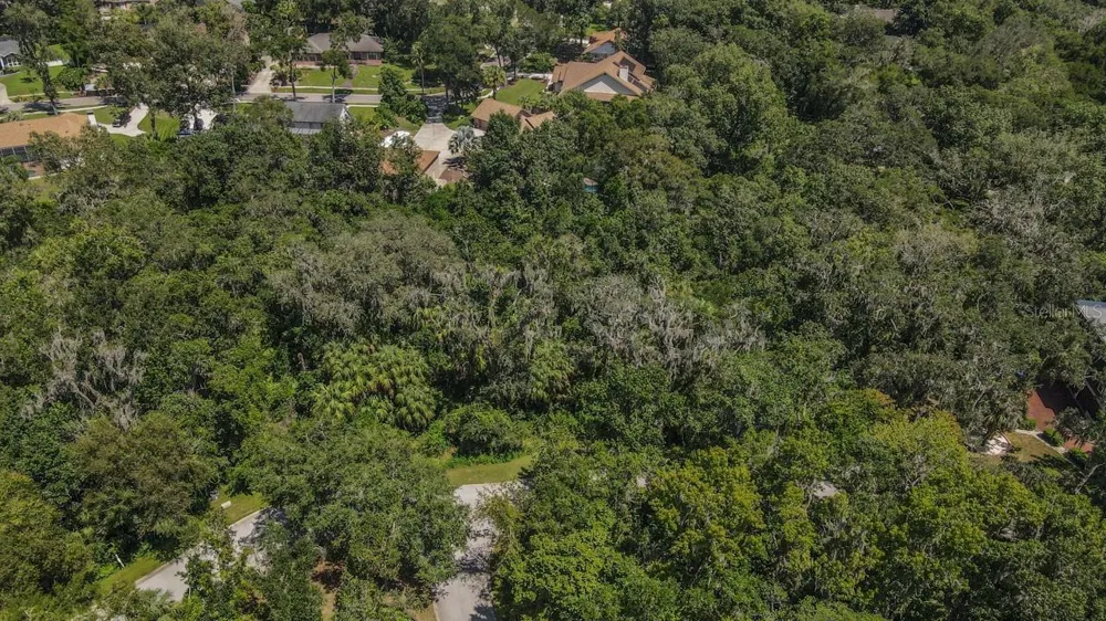4808 RAMBLING RIVER ROAD Brandon, FL 33511