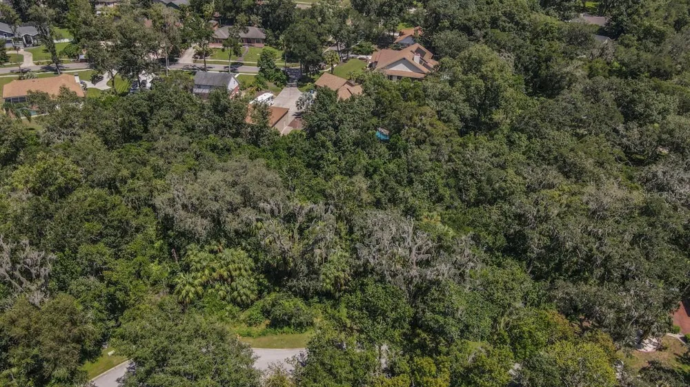4808 RAMBLING RIVER ROAD Brandon, FL 33511