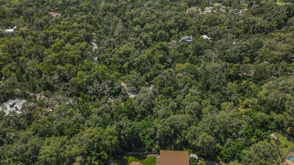 4808 RAMBLING RIVER ROAD Brandon, FL 33511