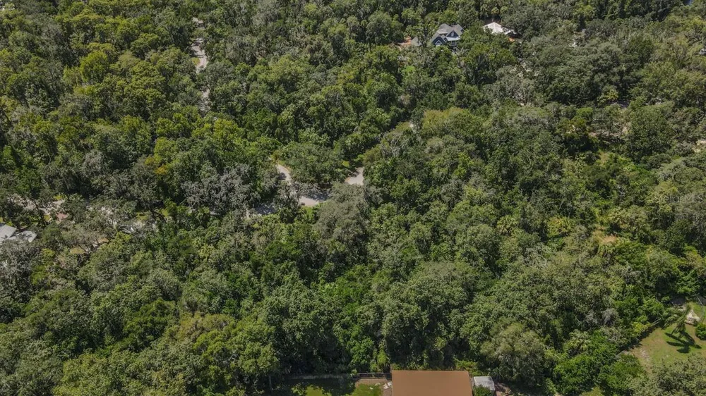 4808 RAMBLING RIVER ROAD Brandon, FL 33511