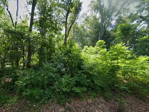 12213 NW 157TH STREET
