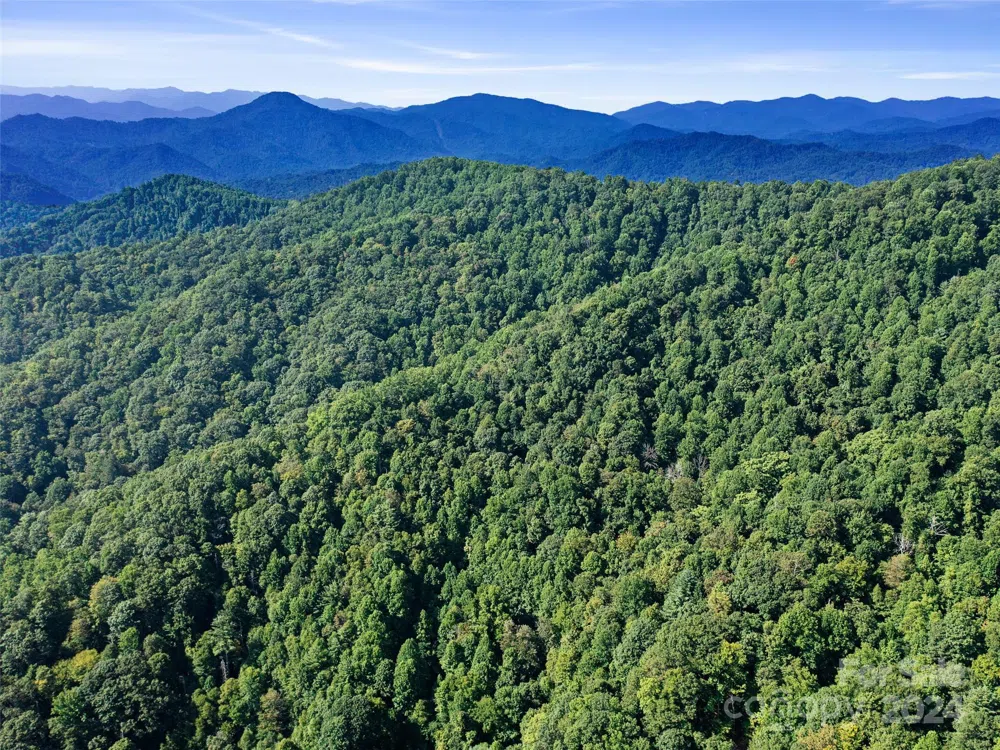 000 Byrd Creek Road Green Mountain, NC 28740