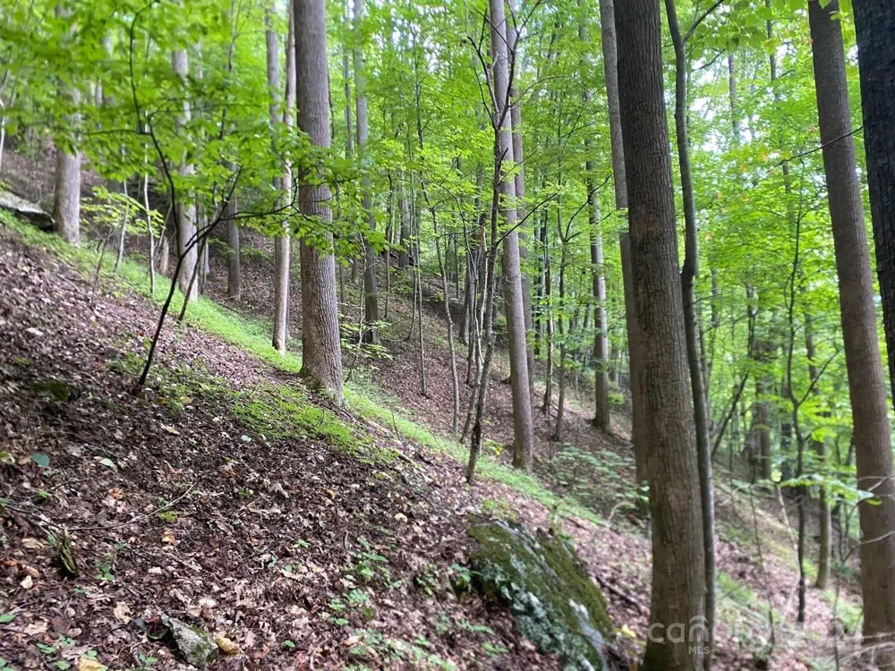000 Byrd Creek Road Green Mountain, NC 28740