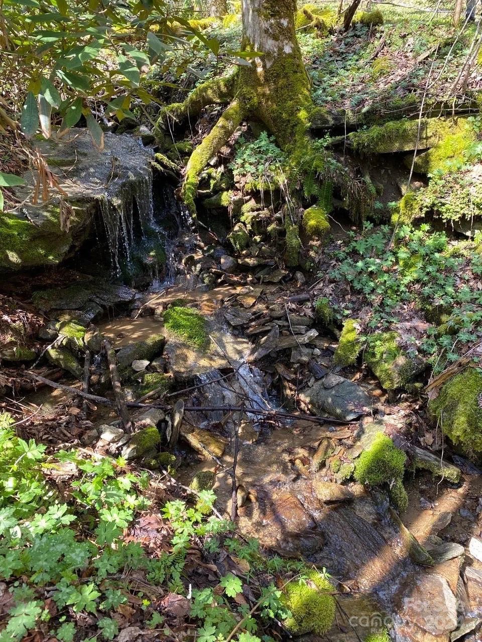 000 Byrd Creek Road Green Mountain, NC 28740