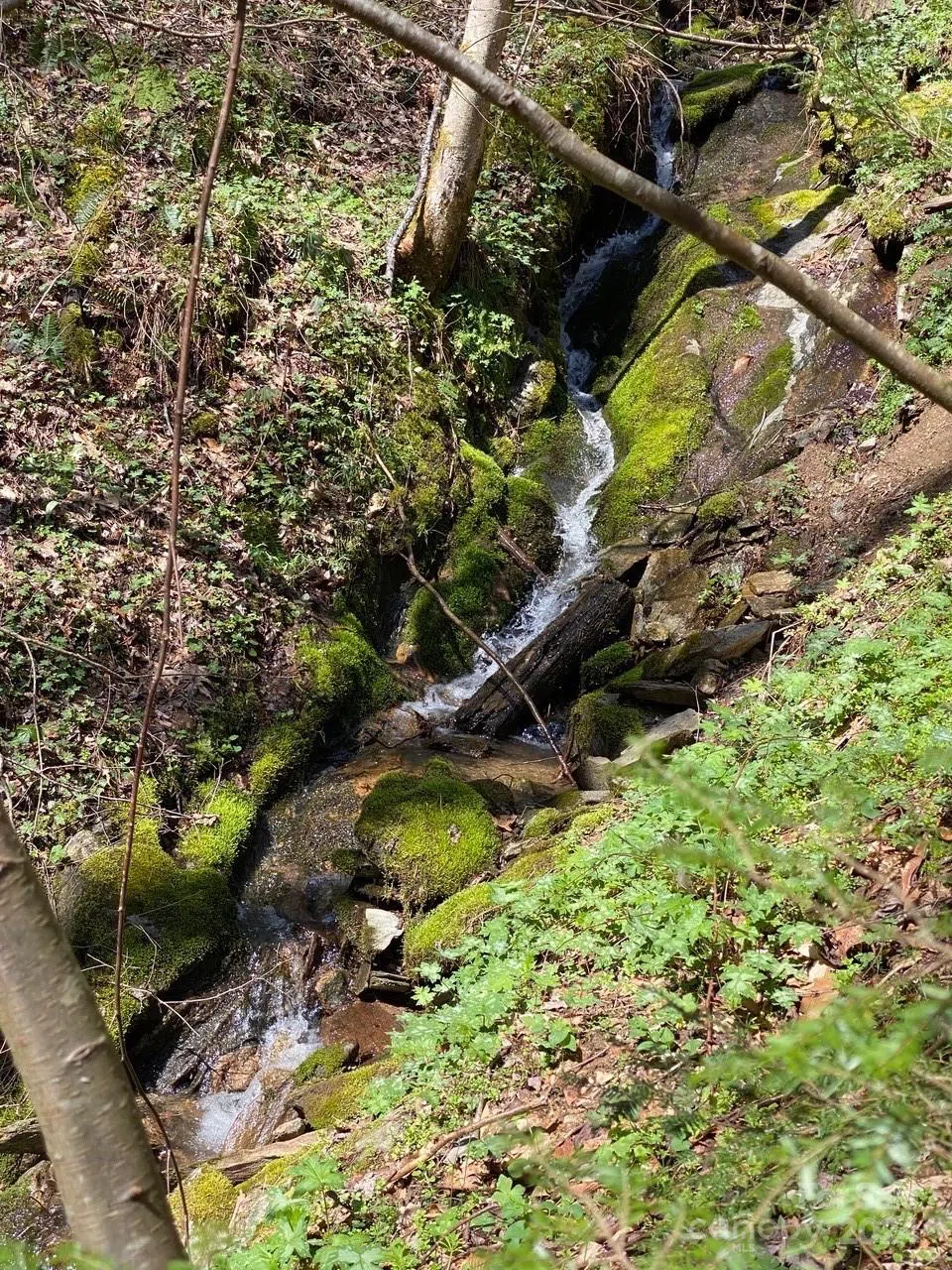 000 Byrd Creek Road Green Mountain, NC 28740