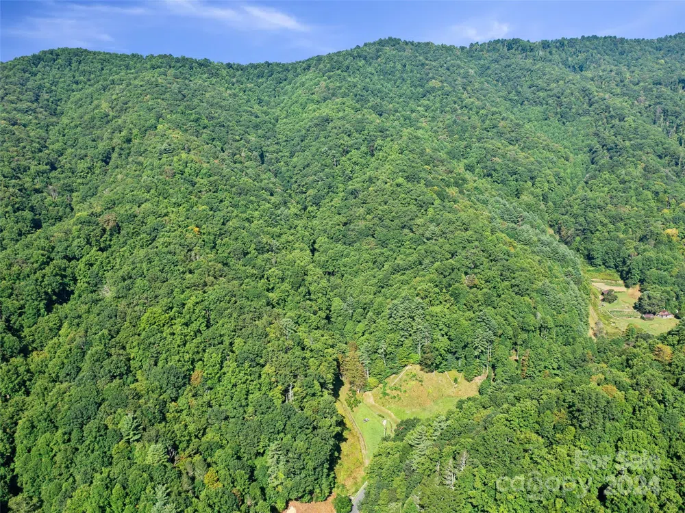 000 Byrd Creek Road Green Mountain, NC 28740