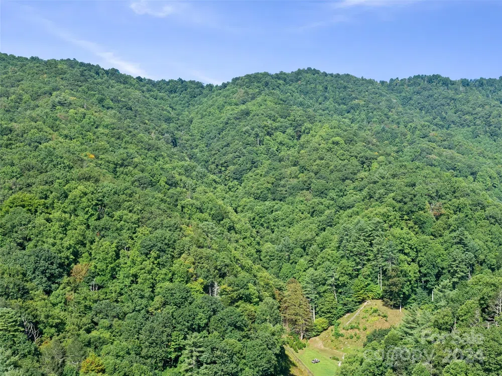000 Byrd Creek Road Green Mountain, NC 28740