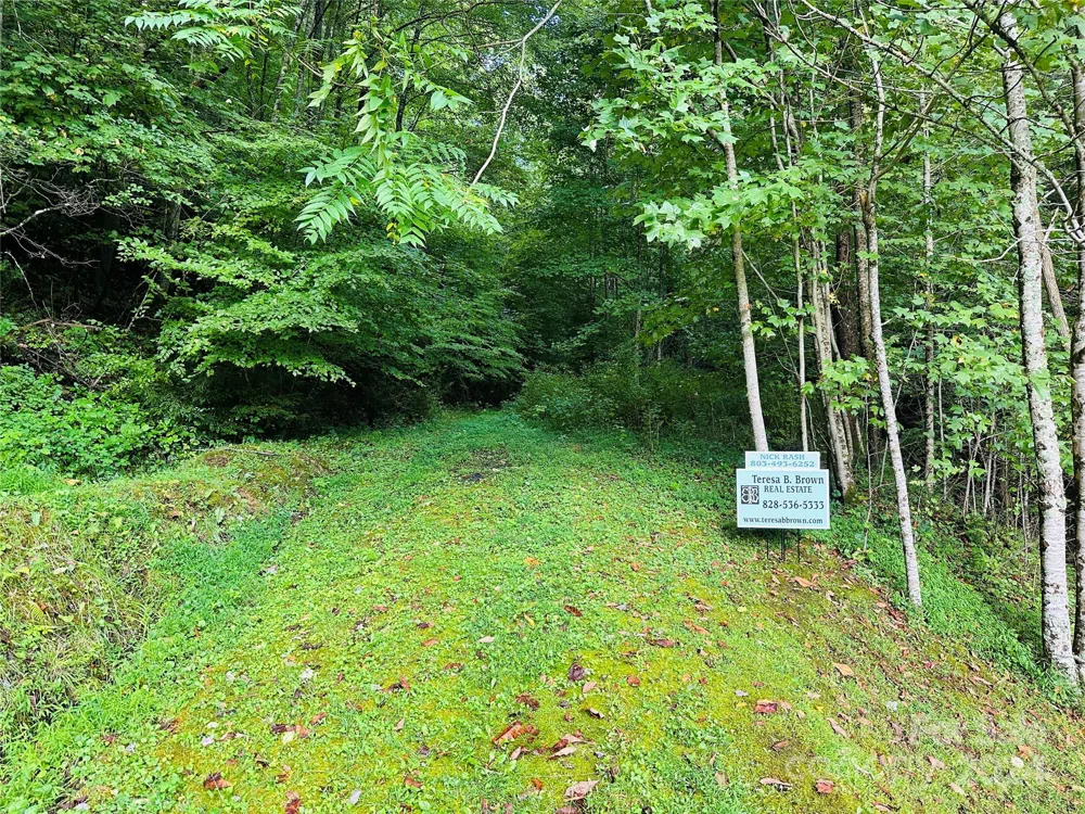 000 Byrd Creek Road Green Mountain, NC 28740