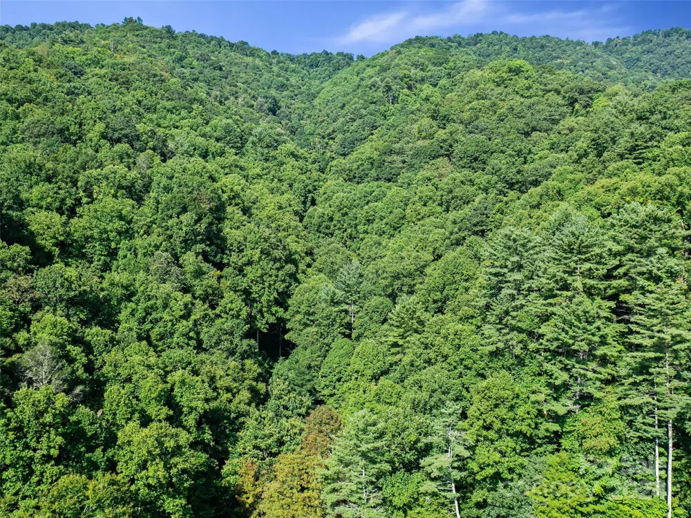 000 Byrd Creek Road Green Mountain, NC 28740