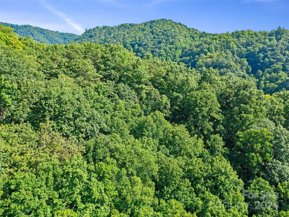 000 Byrd Creek Road Green Mountain, NC 28740