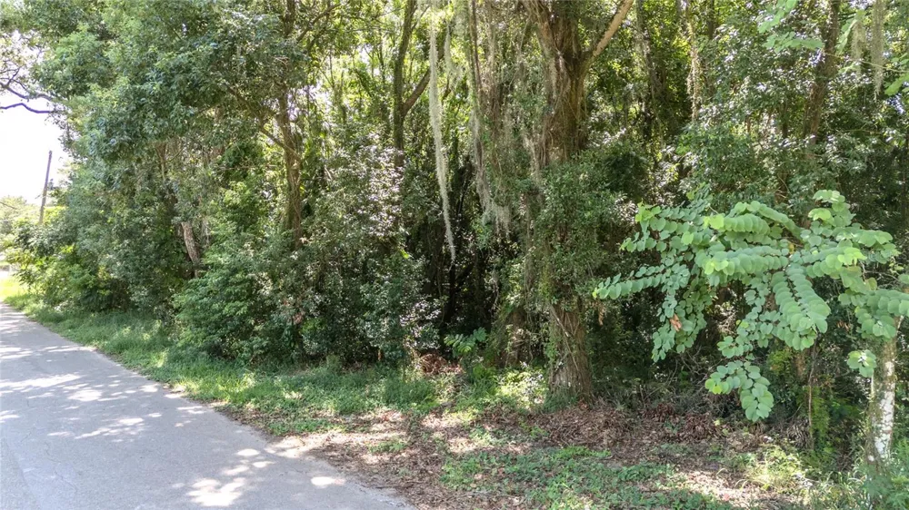 3RD STREET Leesburg, FL 34748