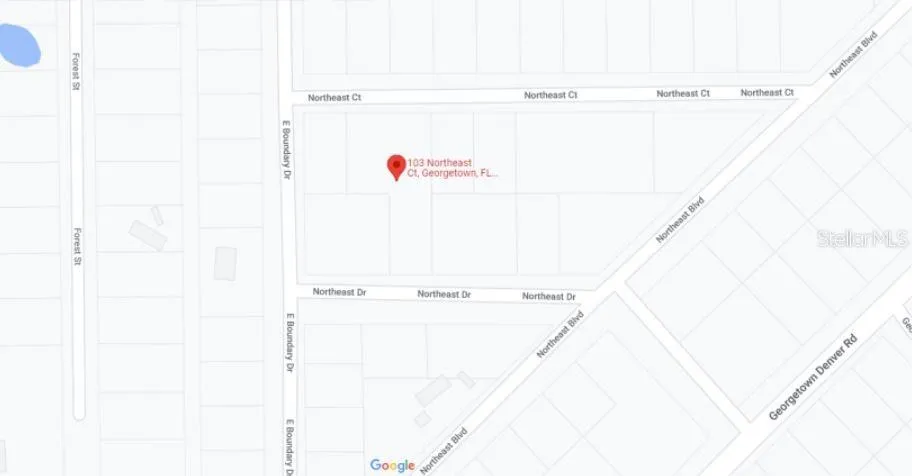 103 NORTHEAST COURT Georgetown, FL 32139