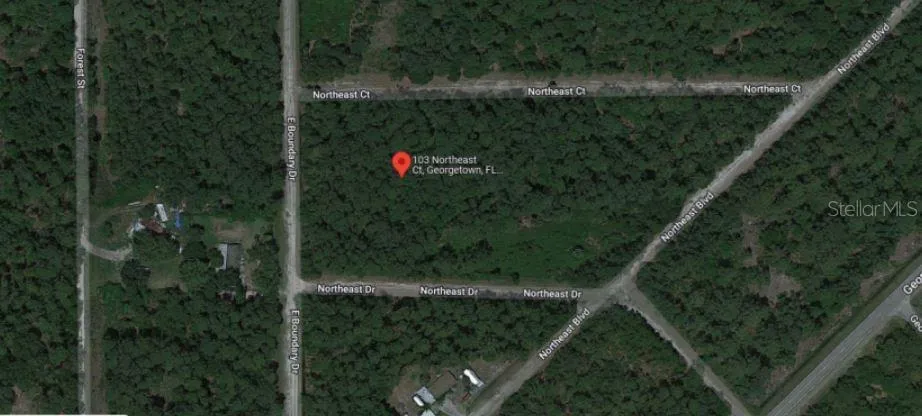 103 NORTHEAST COURT Georgetown, FL 32139
