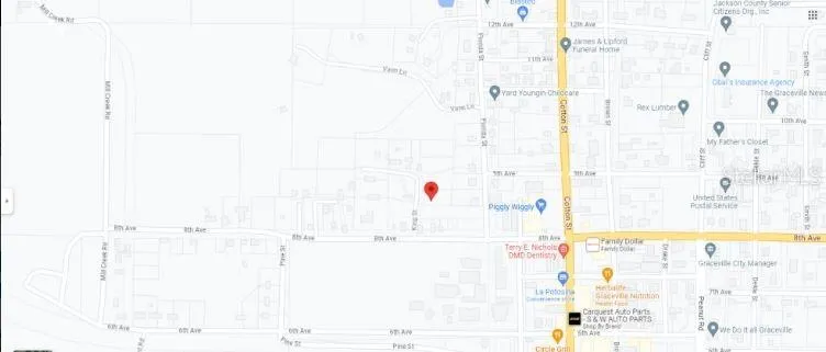 810 KING STREET Graceville, FL 32440