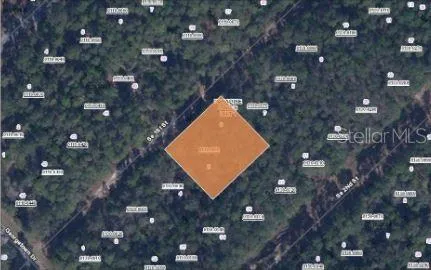 209 SE PARADISE LAKES Georgetown, FL 32139