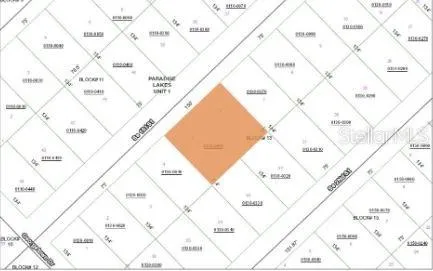209 SE PARADISE LAKES Georgetown, FL 32139