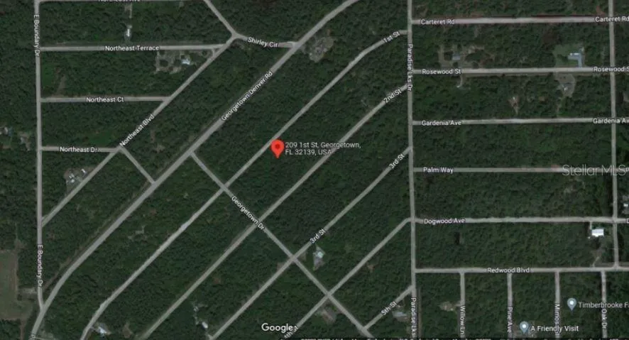 209 SE PARADISE LAKES Georgetown, FL 32139