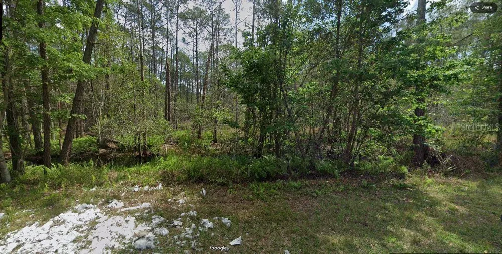 209 SE PARADISE LAKES Georgetown, FL 32139