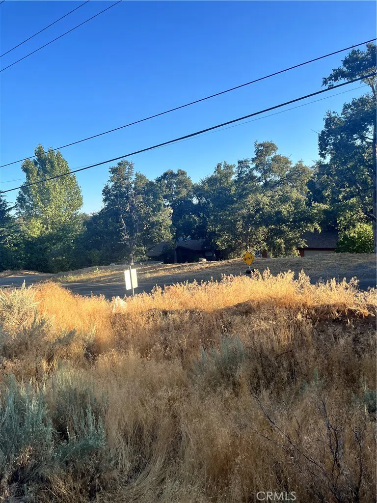Alps Drive Alpine Forest, CA 93561