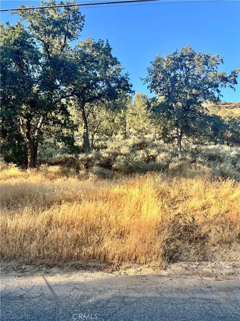 Alps Drive Alpine Forest, CA 93561