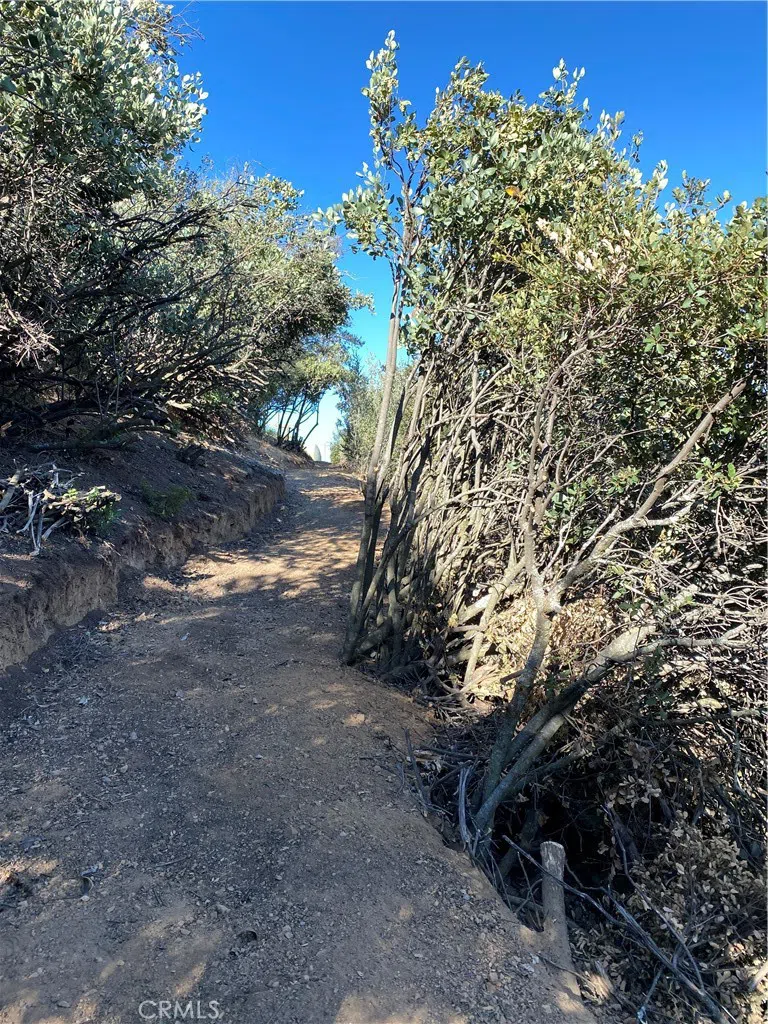 37342 Pisgah Peak Road Yucaipa, CA 92399
