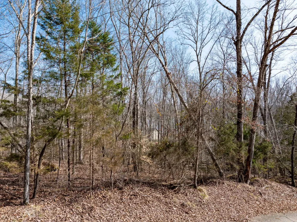 0 Fawn Ridge Road Parsons, TN 38363