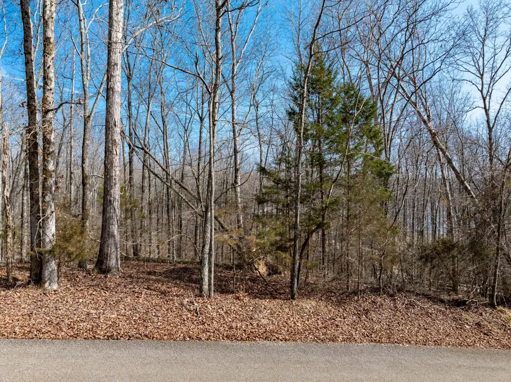 0 Fawn Ridge Road Parsons, TN 38363