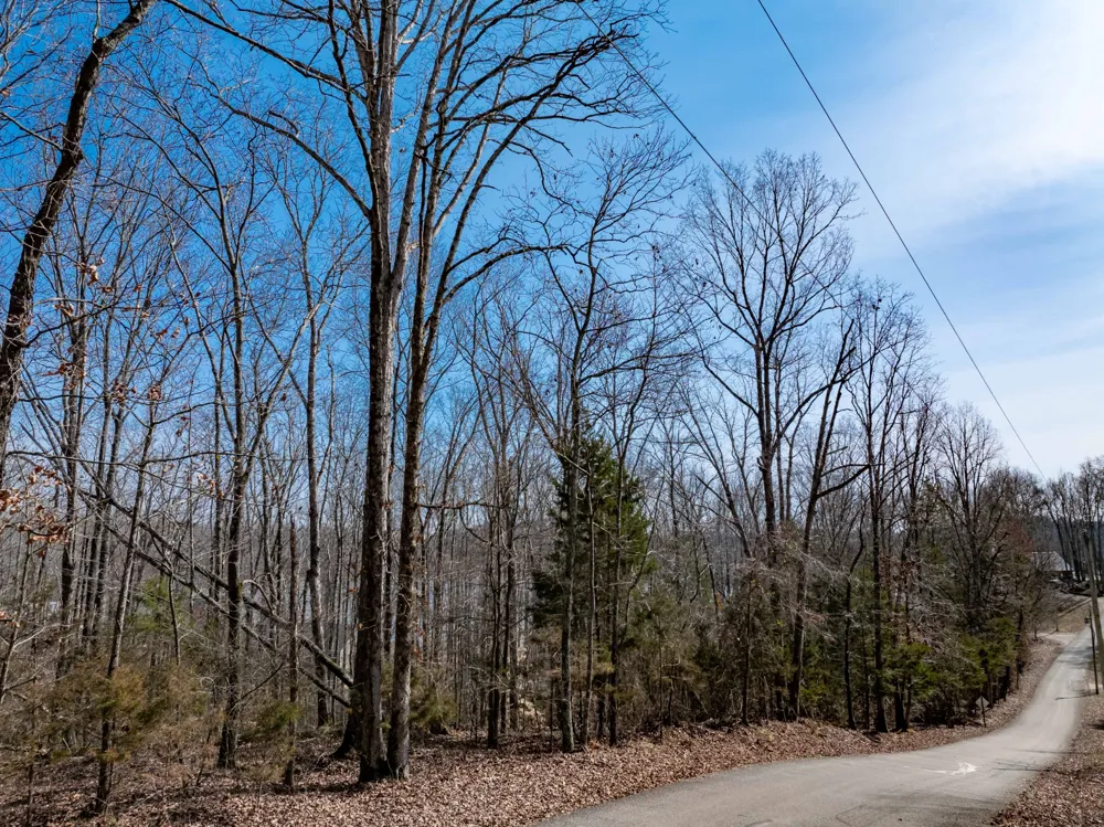 0 Fawn Ridge Road Parsons, TN 38363