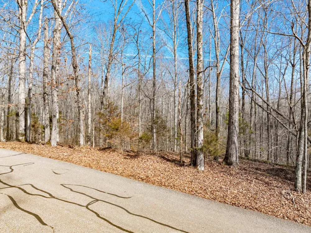 0 Fawn Ridge Road Parsons, TN 38363