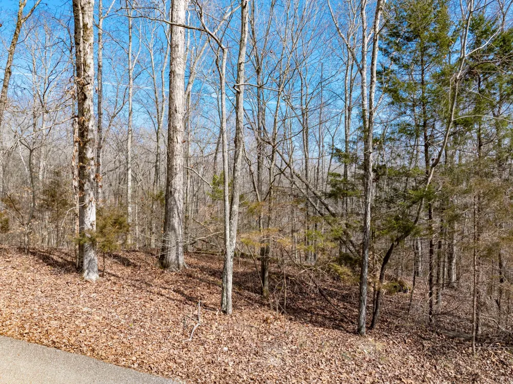 0 Fawn Ridge Road Parsons, TN 38363