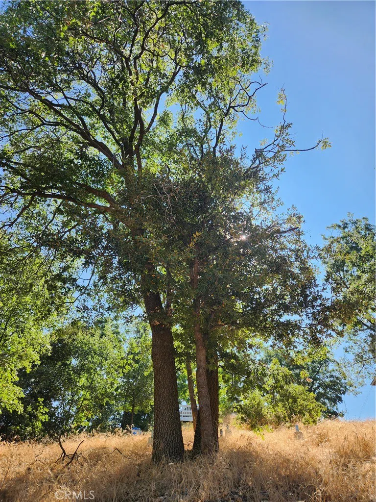 1563 Rock Ridge Drive Lake Arrowhead, CA 92352