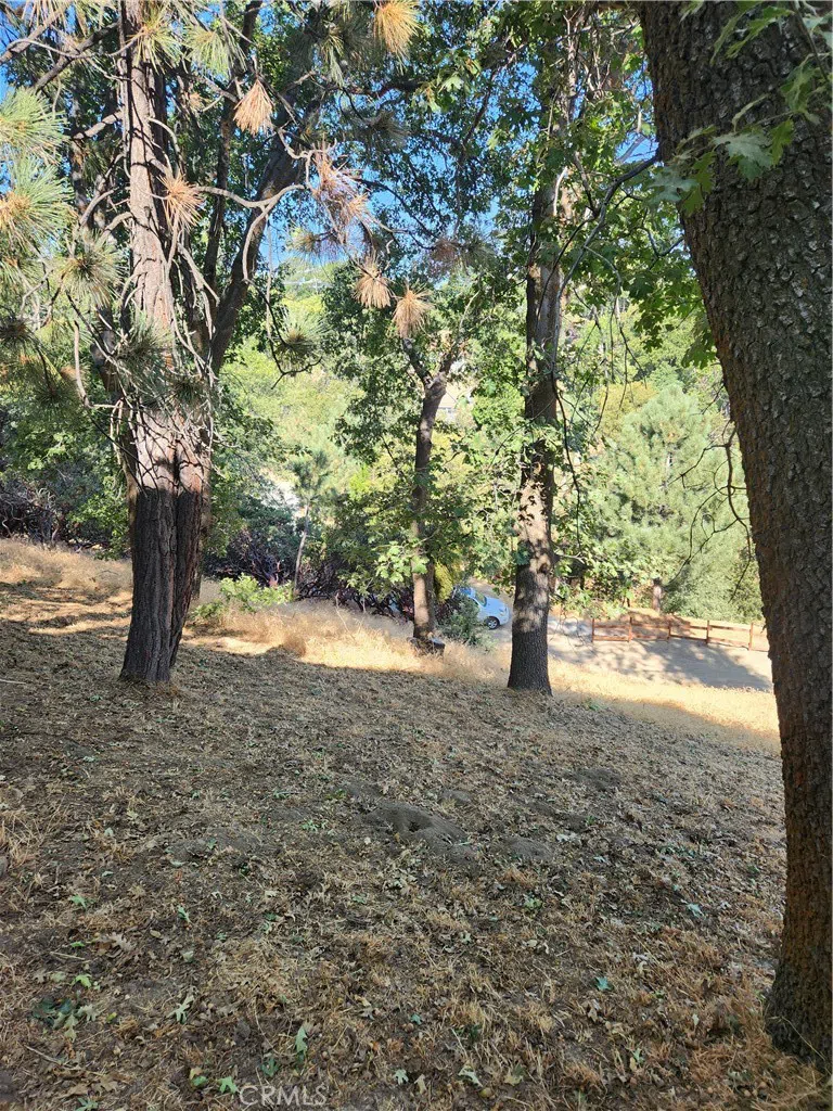 1563 Rock Ridge Drive Lake Arrowhead, CA 92352