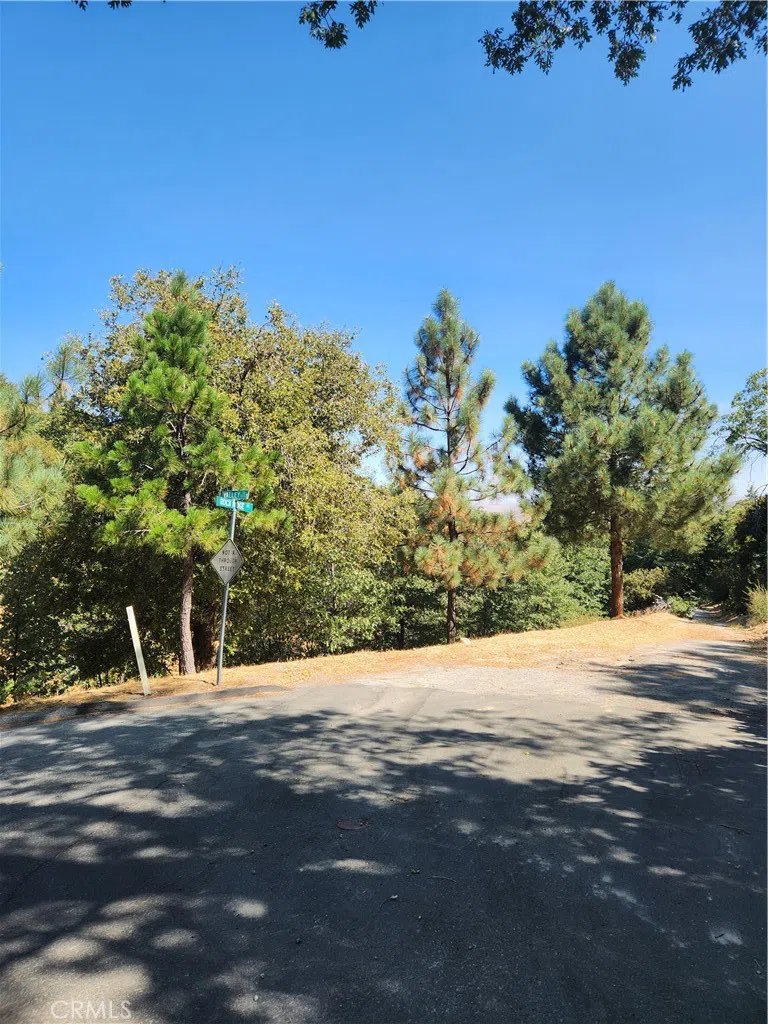 1563 Rock Ridge Drive Lake Arrowhead, CA 92352