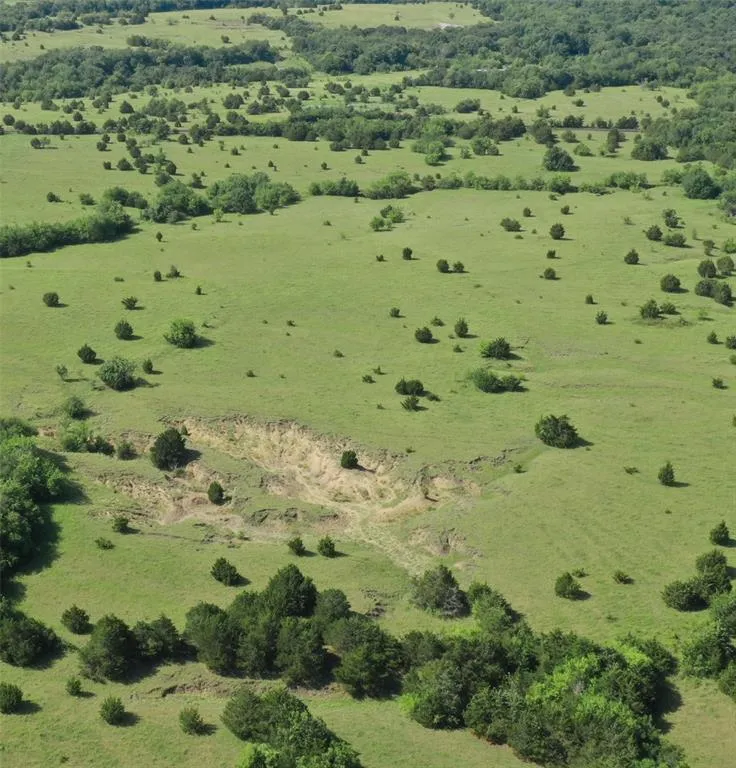 County Road 703 Farmersville, TX 75442