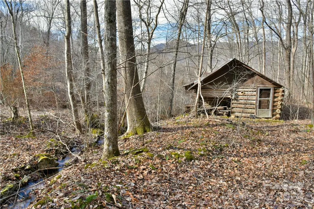 158 Sugar Cove Road Weaverville, NC 28787