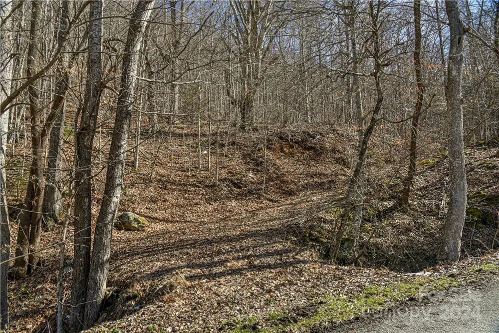 158 Sugar Cove Road Weaverville, NC 28787