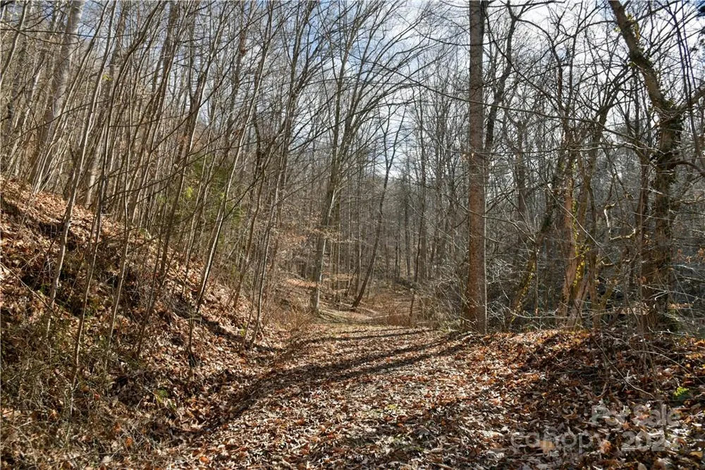 158 Sugar Cove Road Weaverville, NC 28787