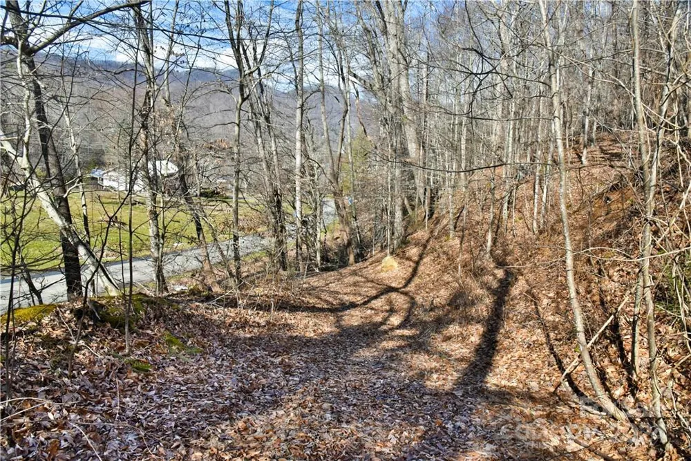 158 Sugar Cove Road Weaverville, NC 28787