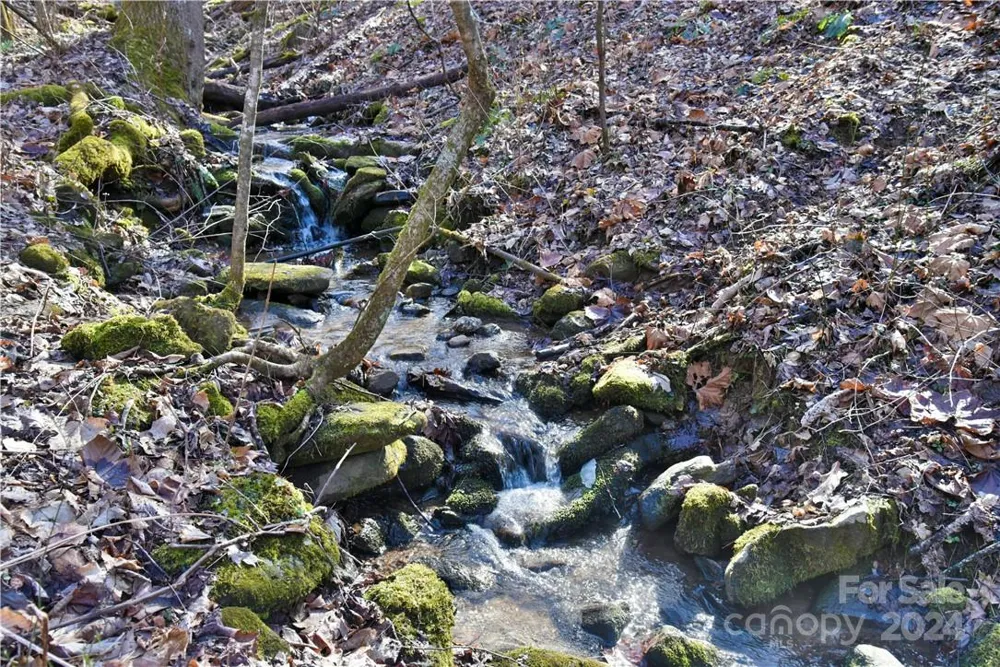 158 Sugar Cove Road Weaverville, NC 28787