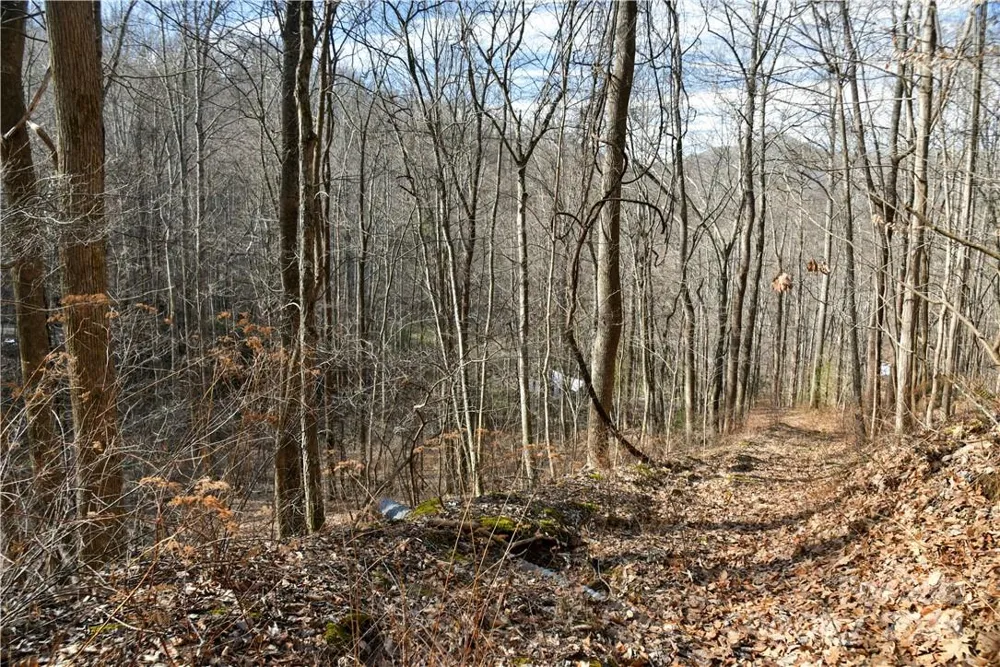 158 Sugar Cove Road Weaverville, NC 28787