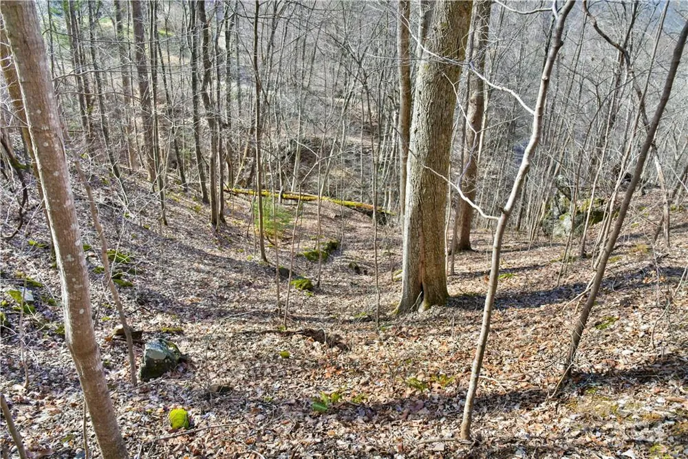158 Sugar Cove Road Weaverville, NC 28787