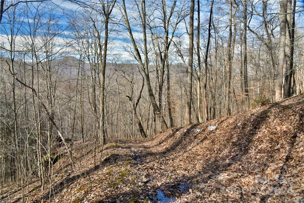 158 Sugar Cove Road Weaverville, NC 28787
