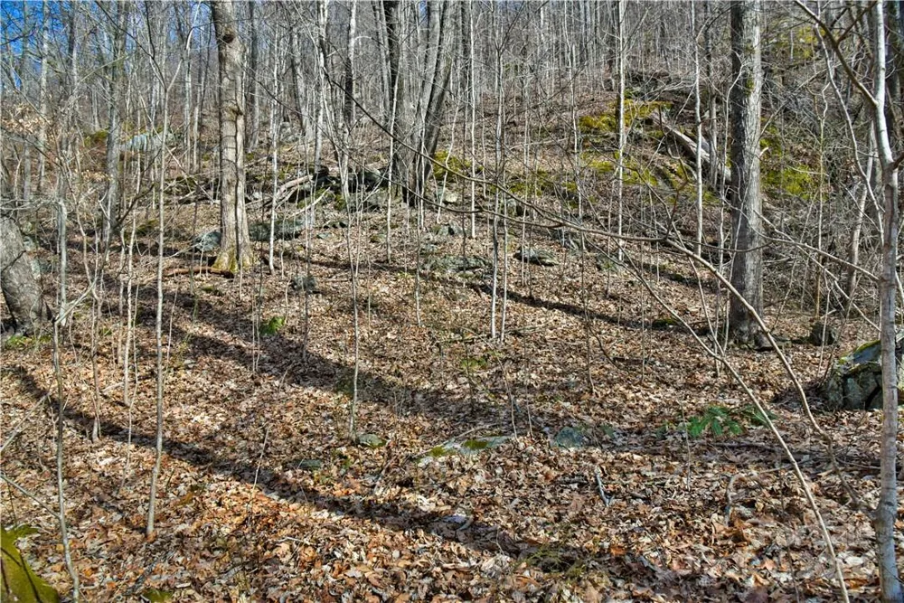 158 Sugar Cove Road Weaverville, NC 28787