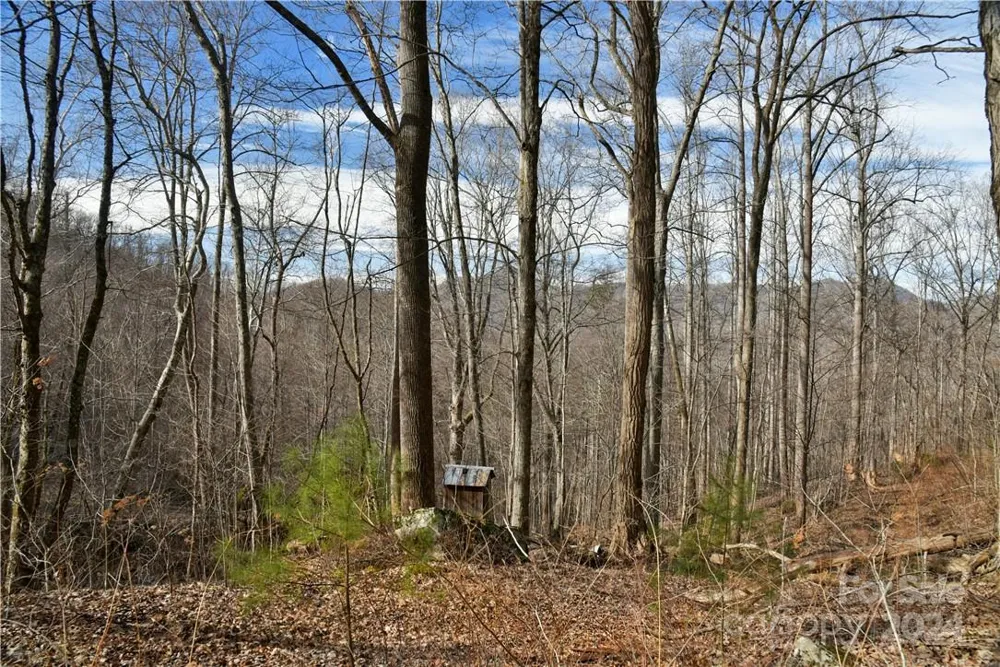 158 Sugar Cove Road Weaverville, NC 28787