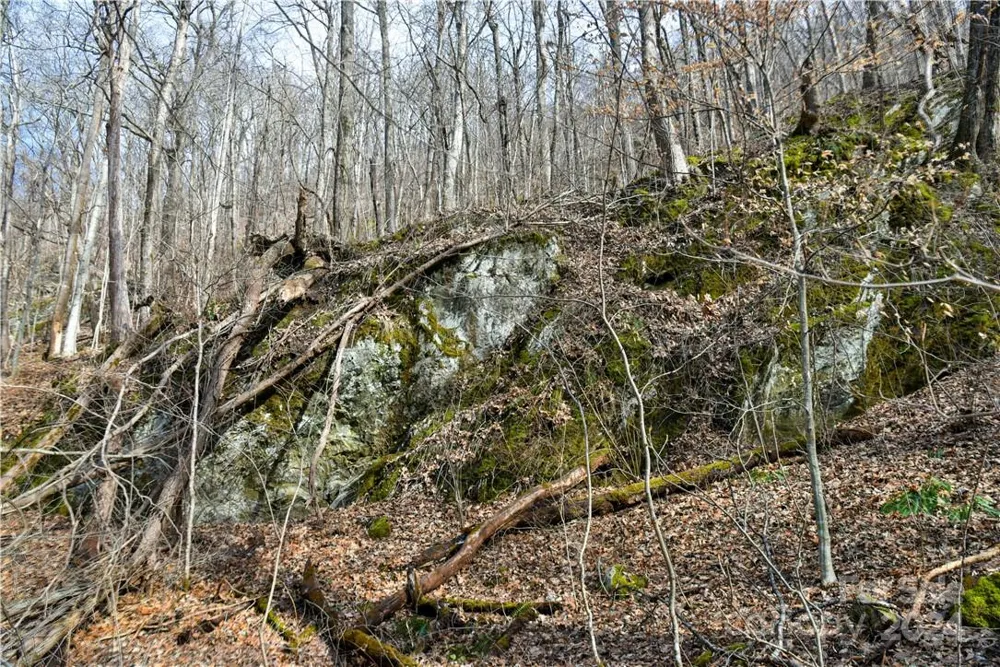 158 Sugar Cove Road Weaverville, NC 28787