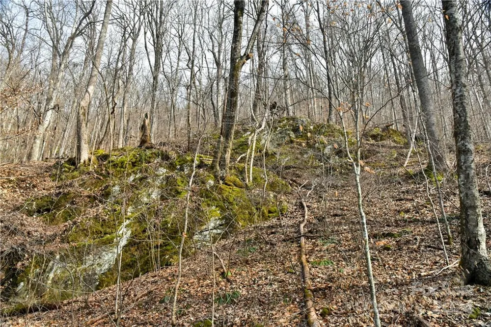 158 Sugar Cove Road Weaverville, NC 28787